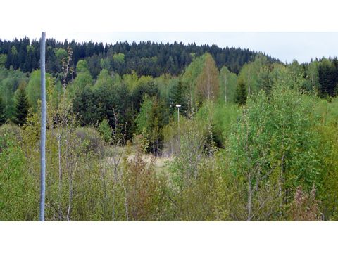 Foto 16